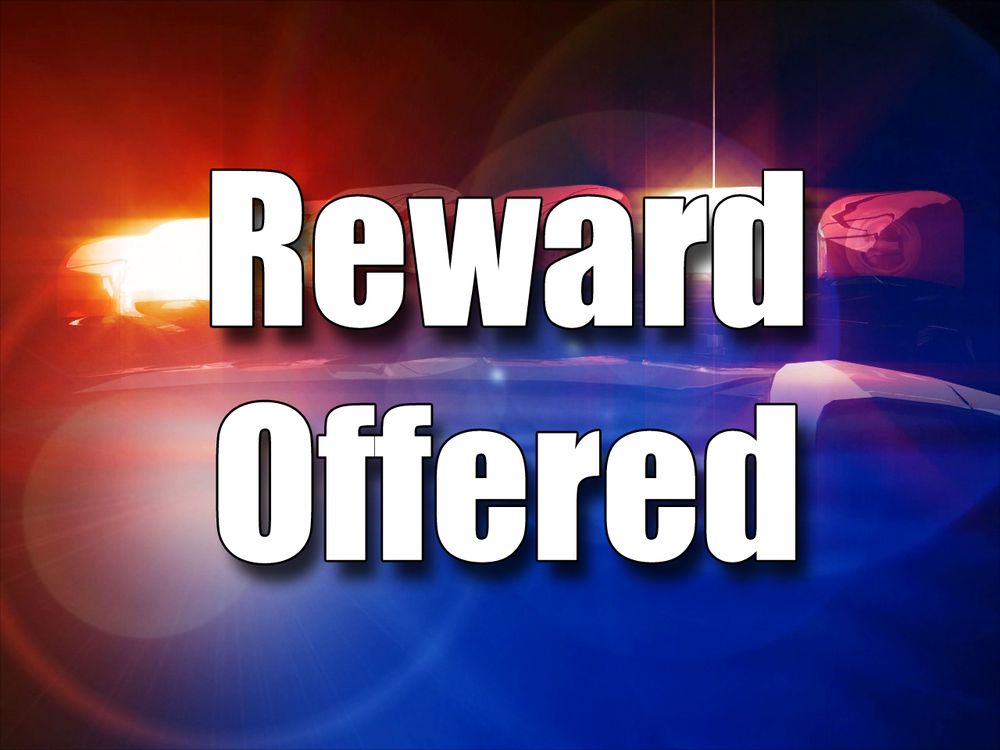 Reward Offered with police lights