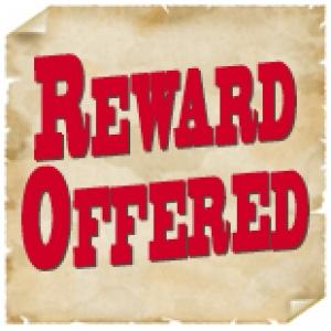 Reward Offered words on tattered paper